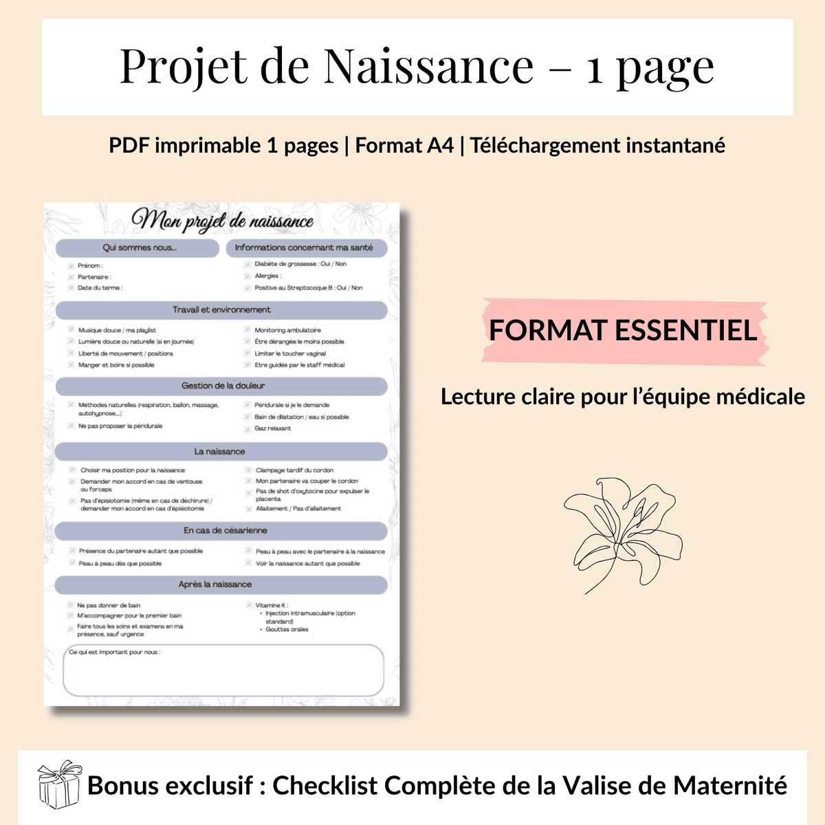 Projet de naissance bleu floral – 1 Page + Liste Valise offerte